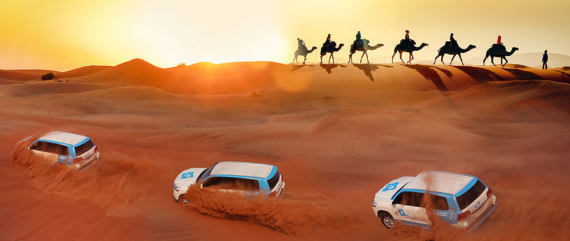 Desert Safari - Red Dunes & Camel Safari with BBQ